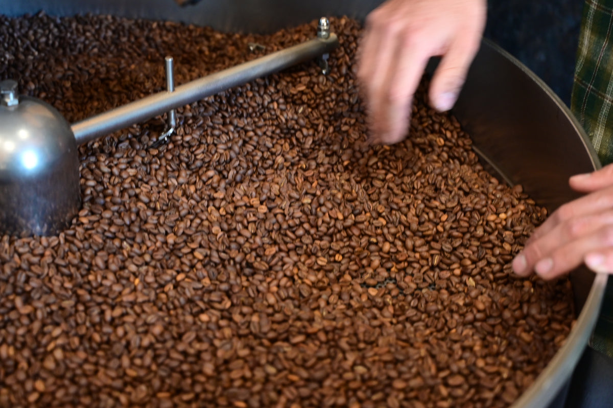 Colombia | Finca La Guamara